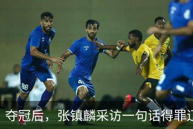 夺冠后，张镇麟采访一句话得罪辽宁，辽蜜：有本事到四川证明价值